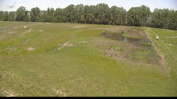 capture-6-22-06-03_12-29-07-44