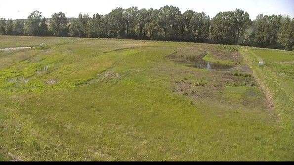 capture-6-22-06-03_16-38-43-38