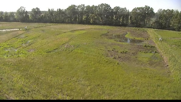 capture-6-22-06-03_17-41-07-34