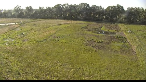 capture-6-22-06-03_18-43-30-46