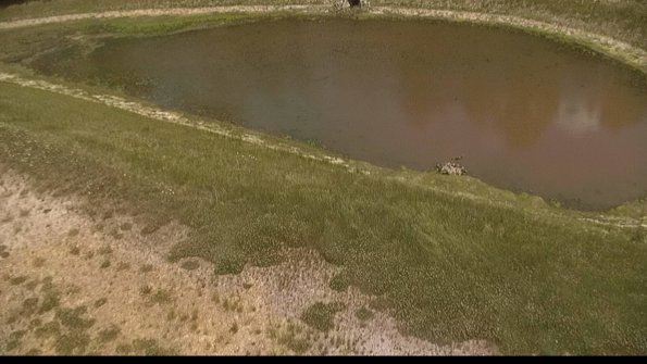 capture-8-22-06-03_13-30-18-33