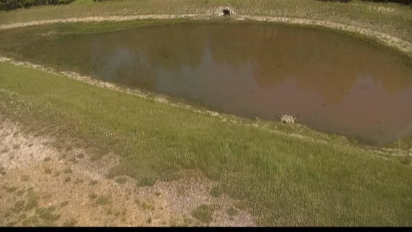 capture-8-22-06-03_15-35-06-35