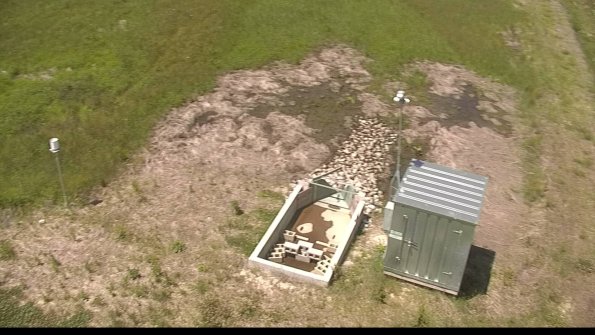 capture-9-22-06-03_12-29-50-49