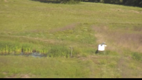 capture-12-22-06-04_08-13-56-51