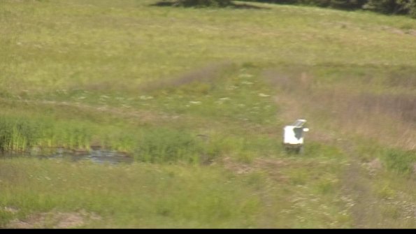 capture-12-22-06-04_10-18-42-39