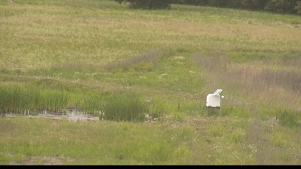 capture-12-22-06-04_16-33-05-18