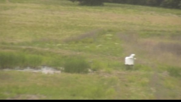 capture-12-22-06-04_17-35-29-21