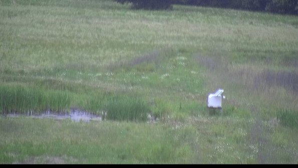 capture-12-22-06-04_20-42-38-22