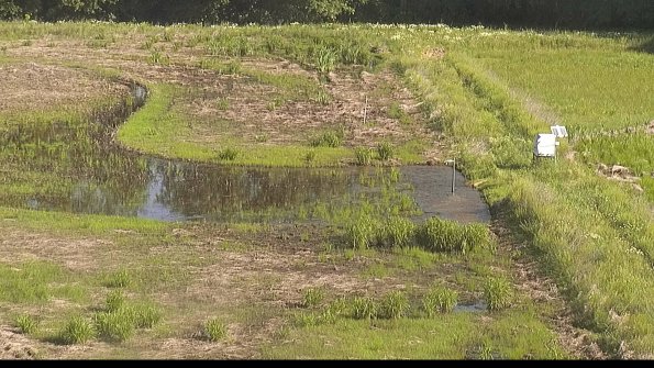 capture-14-22-06-04_09-17-16-42