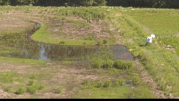 capture-14-22-06-04_10-19-38-38