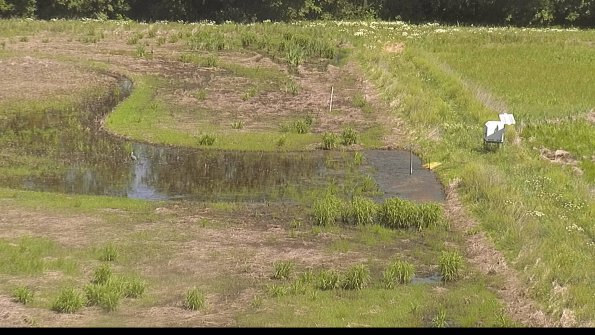 capture-14-22-06-04_11-22-01-34