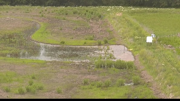 capture-14-22-06-04_15-31-37-31