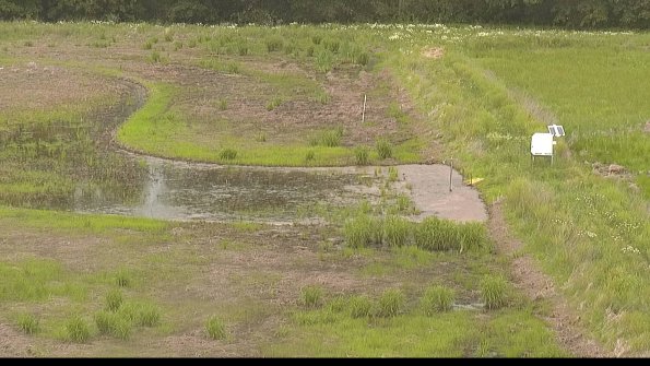 capture-14-22-06-04_16-34-01-31