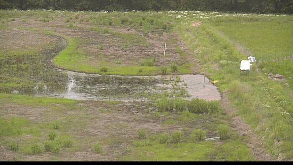 capture-14-22-06-04_19-41-10-32