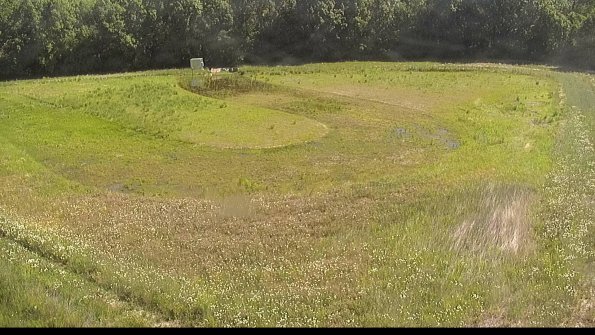 capture-15-22-06-04_10-19-52-40