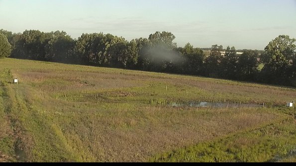 capture-4-22-06-04_07-11-47-39