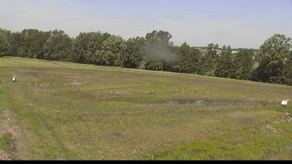 capture-4-22-06-04_11-21-19-43