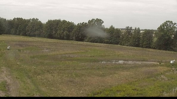 capture-4-22-06-04_13-26-07-22