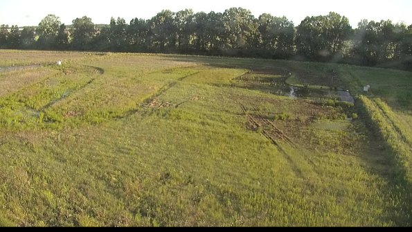 capture-6-22-06-04_07-12-15-42