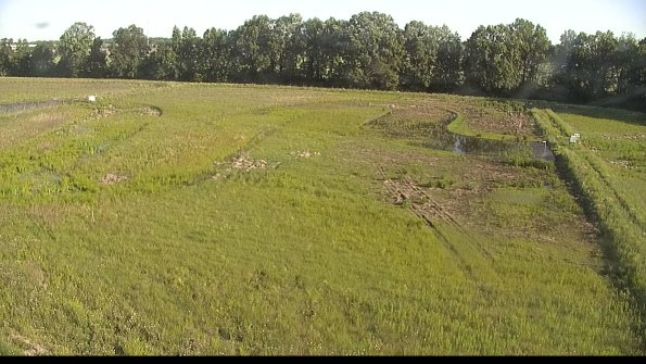 capture-6-22-06-04_08-14-38-51