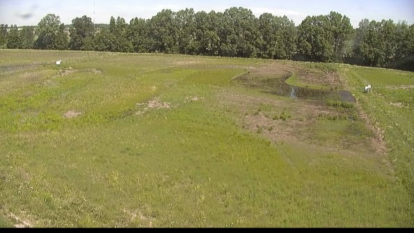 capture-6-22-06-04_11-21-47-63