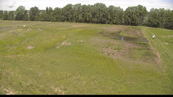 capture-6-22-06-04_12-24-11-49