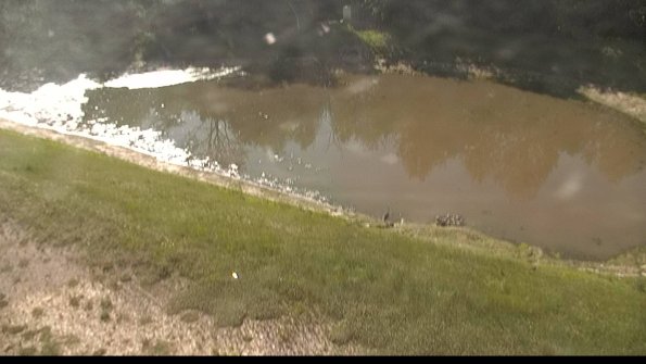 capture-8-22-06-04_09-15-49-47