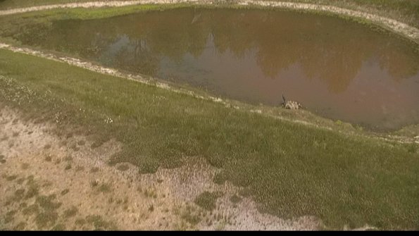 capture-8-22-06-04_13-25-22-41