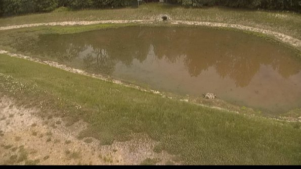 capture-8-22-06-04_14-27-46-47