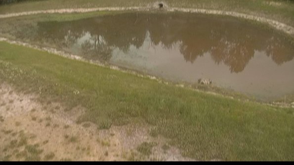 capture-8-22-06-04_15-30-10-42