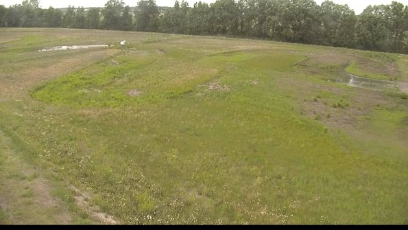 capture-1-22-06-05_16-29-42-44