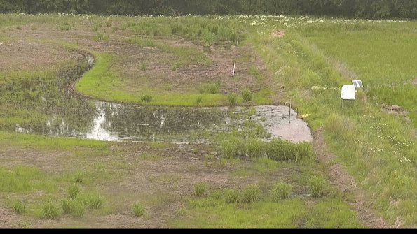 capture-14-22-06-05_09-12-16-35