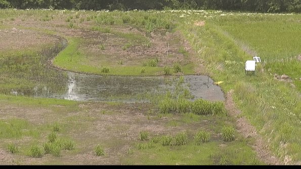 capture-14-22-06-05_13-21-50-29