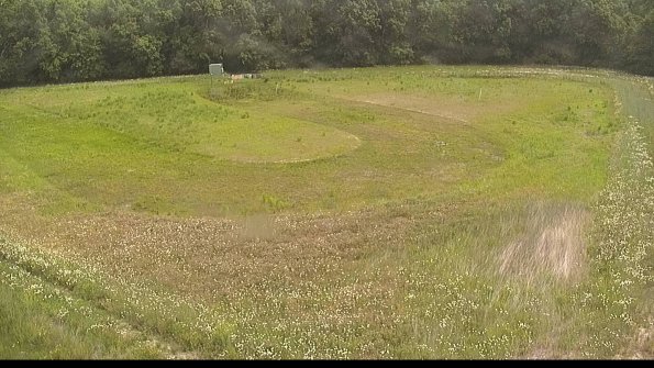 capture-15-22-06-05_11-17-17-42