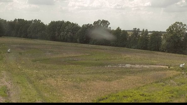 capture-4-22-06-05_15-25-54-33