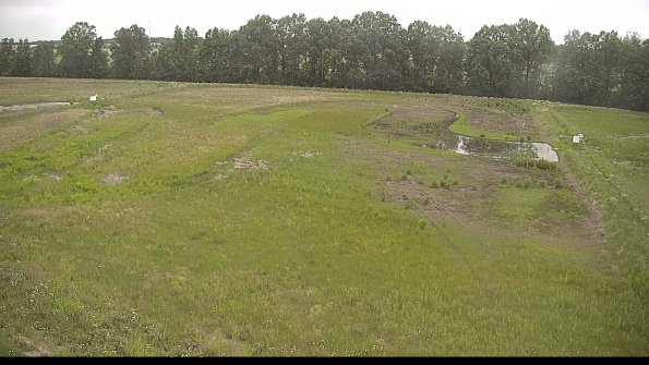 capture-6-22-06-05_07-07-15-65