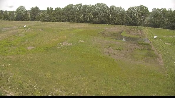 capture-6-22-06-05_12-19-13-36