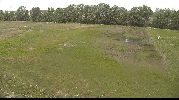 capture-6-22-06-05_13-21-36-61