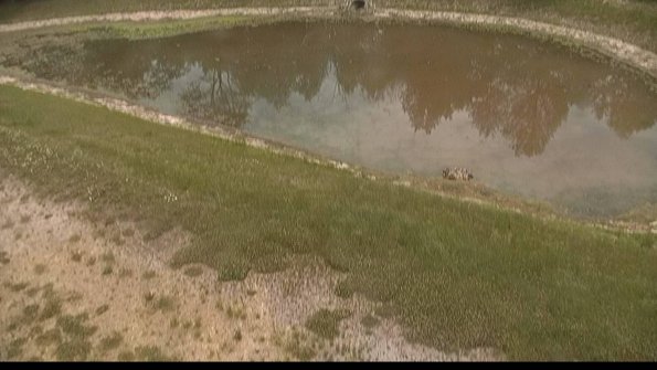 capture-8-22-06-05_12-18-00-32