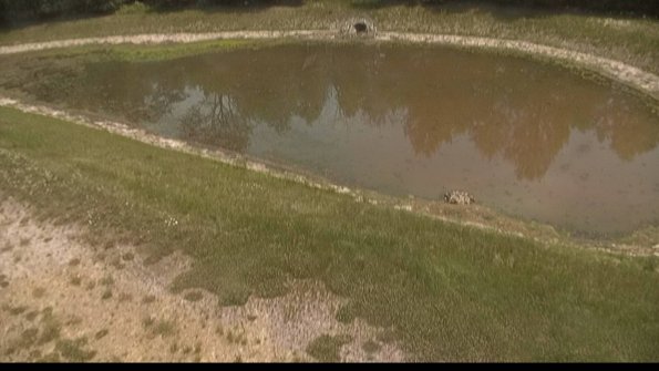 capture-8-22-06-05_13-20-24-34