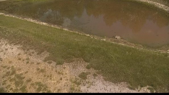 capture-8-22-06-05_14-22-47-33