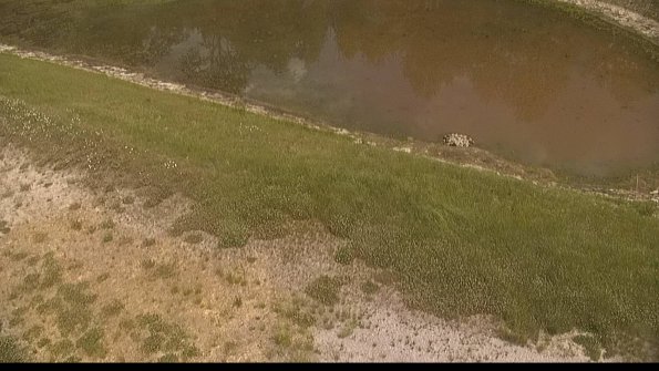 capture-8-22-06-05_15-25-10-29