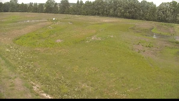 capture-1-22-06-06_12-15-03-26