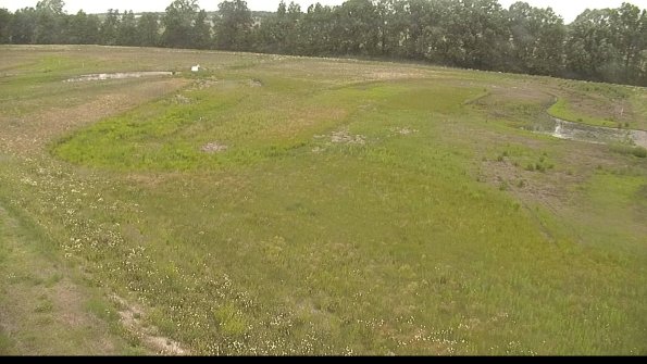 capture-1-22-06-06_13-17-26-29