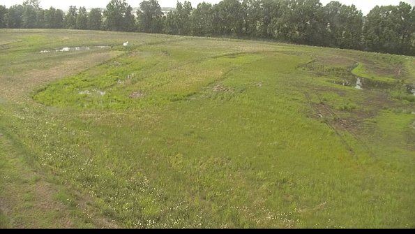 capture-1-22-06-06_16-24-36-40