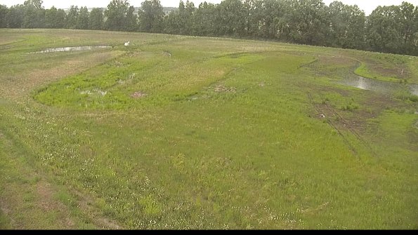 capture-1-22-06-06_17-27-01-23