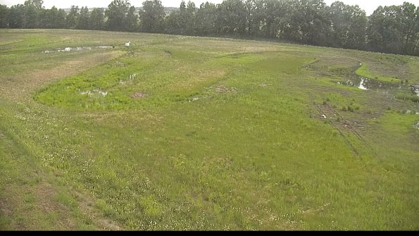 capture-1-22-06-06_18-29-25-26