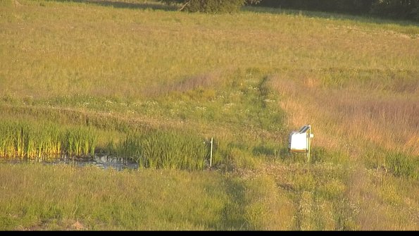 capture-12-22-06-06_07-01-29-67