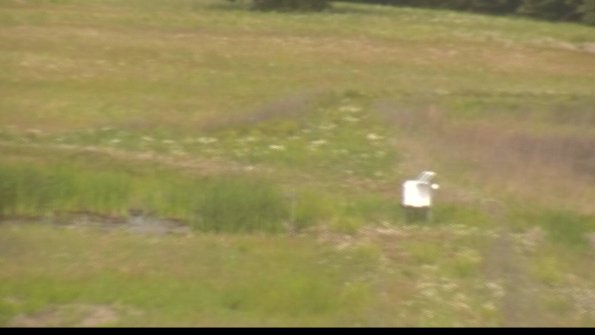 capture-12-22-06-06_10-08-37-28