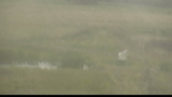 capture-12-22-06-06_14-18-12-21